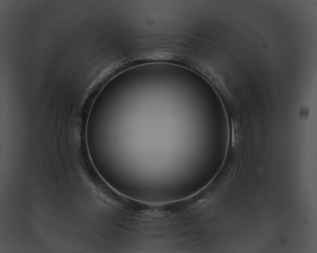 X0000091670300200708301505