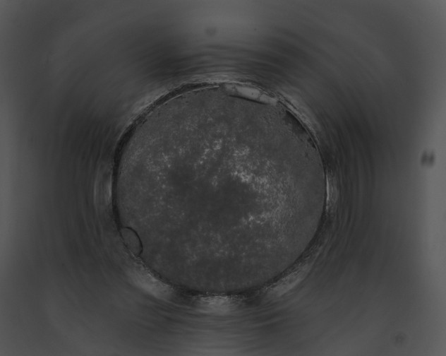 X0000091670301200708301505