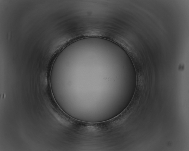 X0000091670302200708301505