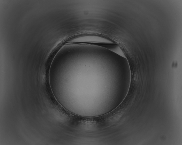 X0000091670304200708301505