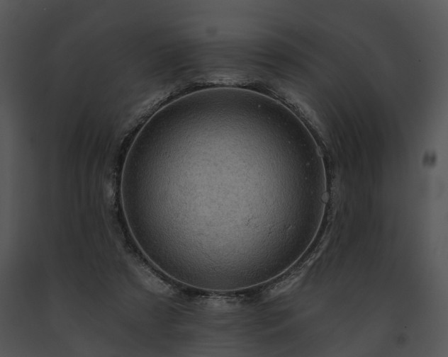 X0000091670305200708301505