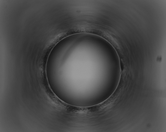 X0000091670306200708301505