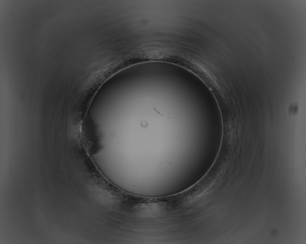X0000091670307200708301505