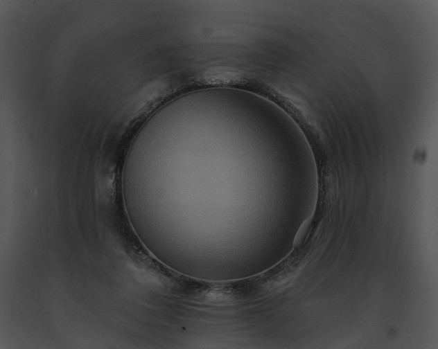 X0000091670308200708301505