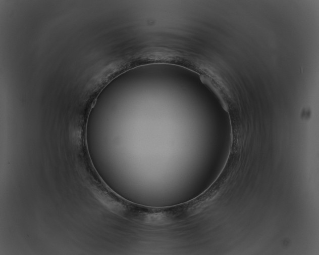 X0000091670309200708301505