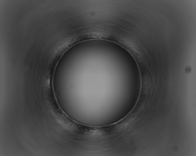 X0000091670310200708301505
