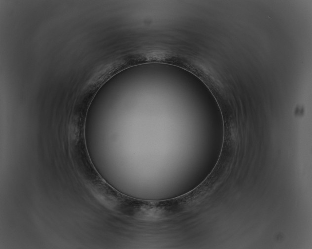 X0000091670311200708301505