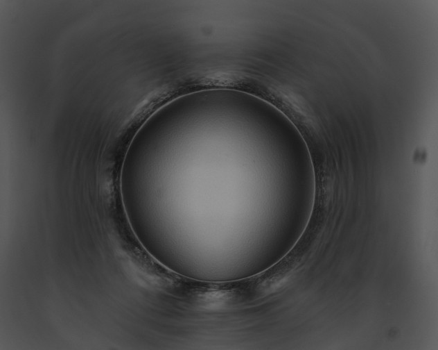 X0000091670312200708301505