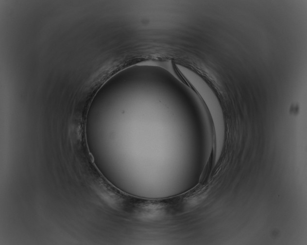 X0000091670313200708301505