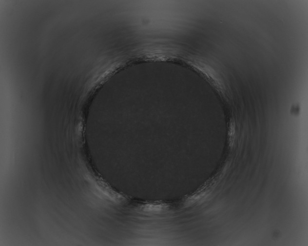 X0000091670314200708301505