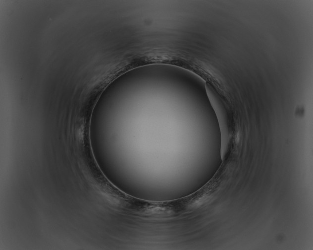 X0000091670315200708301505