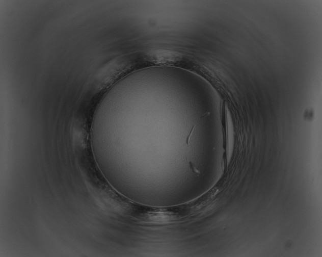 X0000091670316200708301505