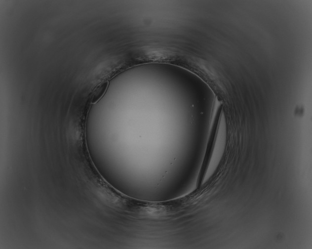 X0000091670317200708301505