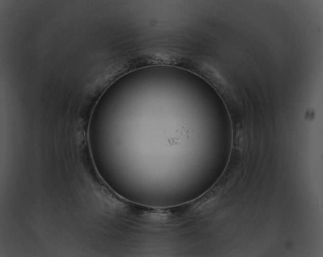X0000091670318200708301504