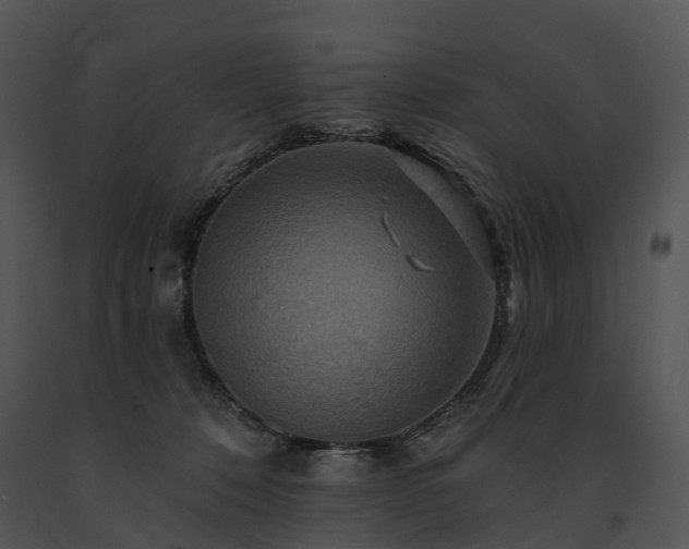 X0000091670320200708301504