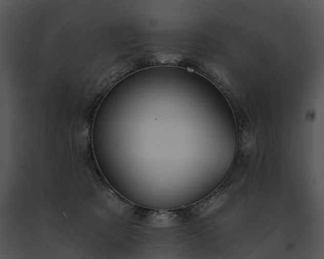 X0000091670321200708301504