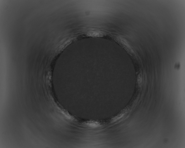 X0000091670322200708301504