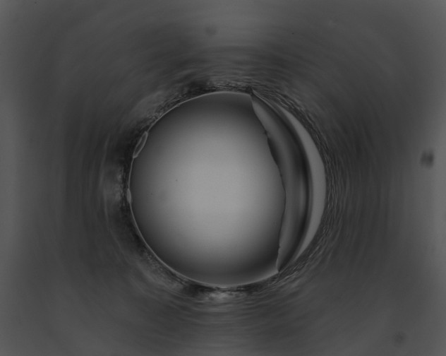 X0000091670323200708301504