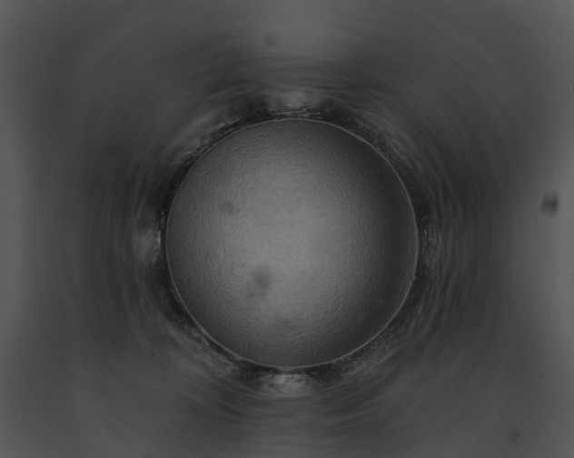 X0000091670324200708301504