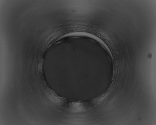 X0000091670325200708301504