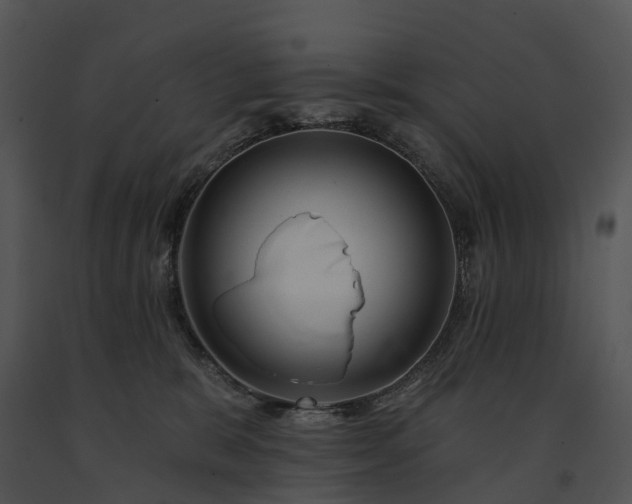 X0000091670327200708301504