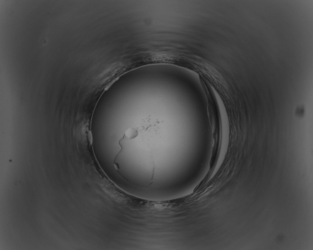 X0000091670329200708301504
