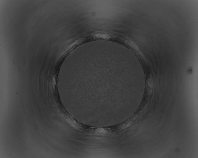 X0000091670330200708301504