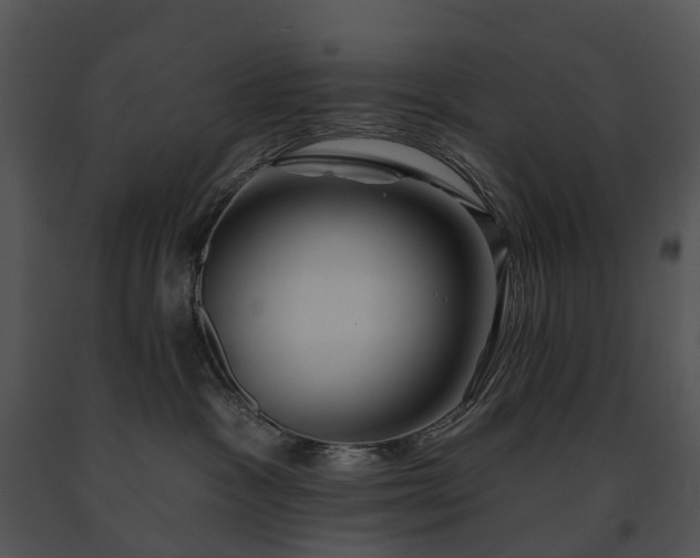 X0000091670333200708301504
