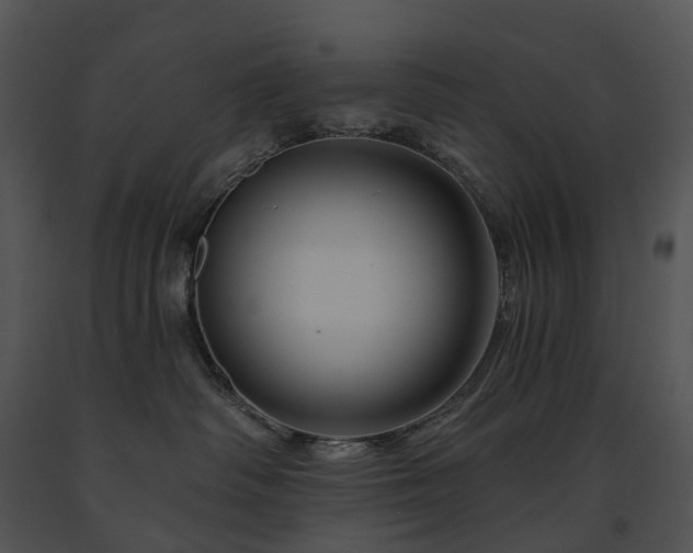 X0000091670334200708301504