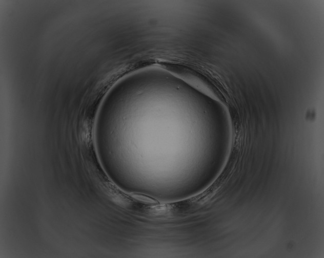 X0000091670335200708301504