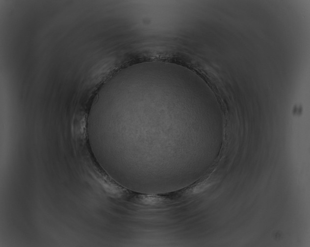 X0000091670336200708301504