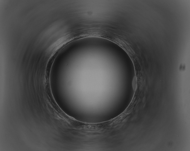 X0000091670338200708301504