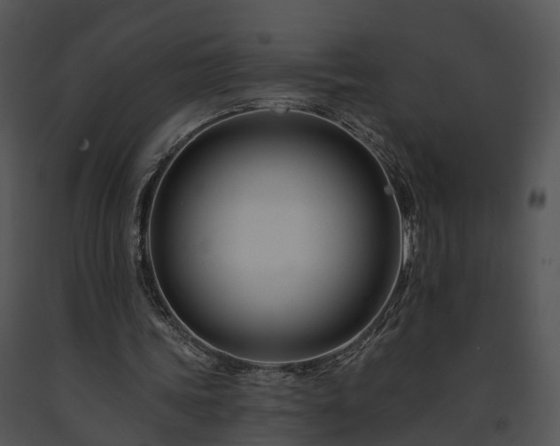 X0000091670339200708301504