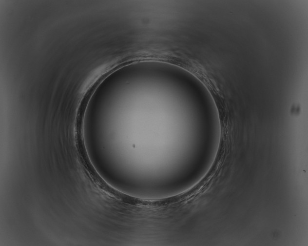 X0000091670340200708301504
