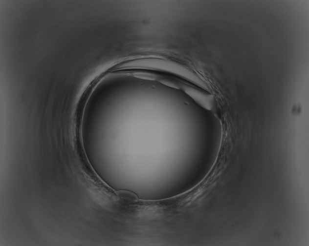 X0000091670342200708301504