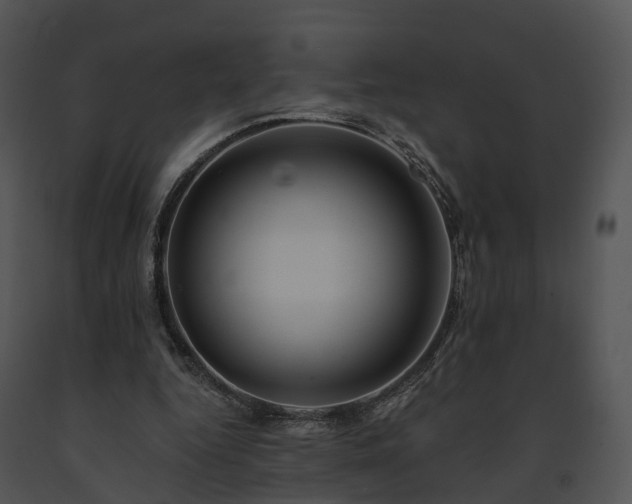 X0000091670344200708301504