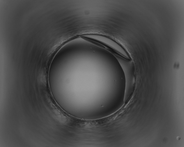 X0000091670345200708301504