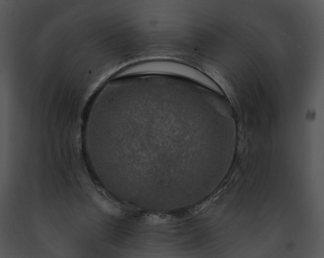 X0000091670346200708301504