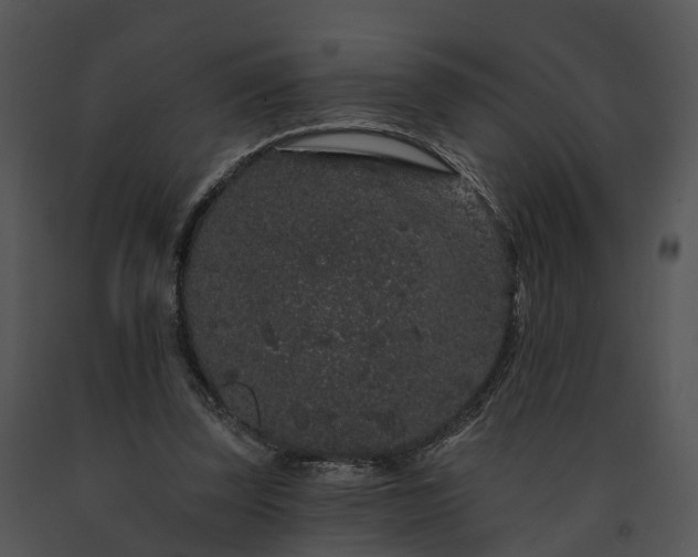 X0000091670347200708301504