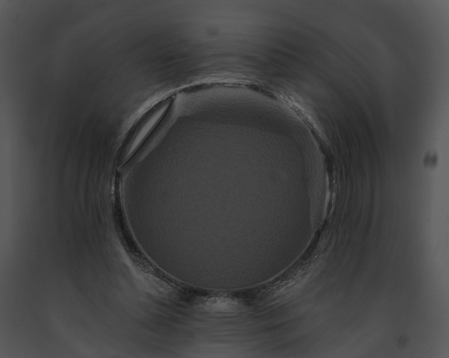 X0000091670348200708301504