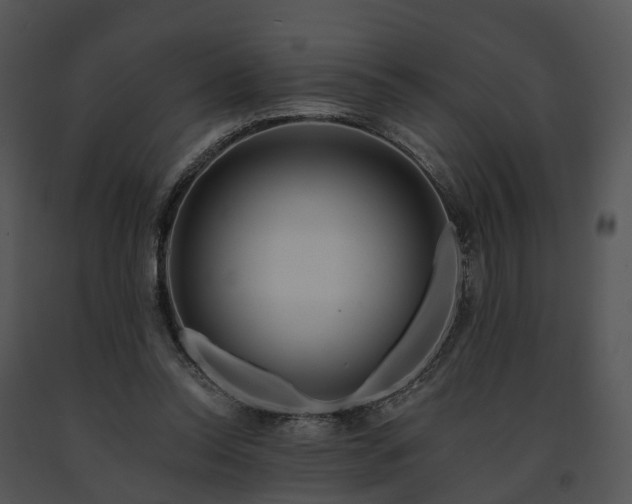 X0000091670350200708301504