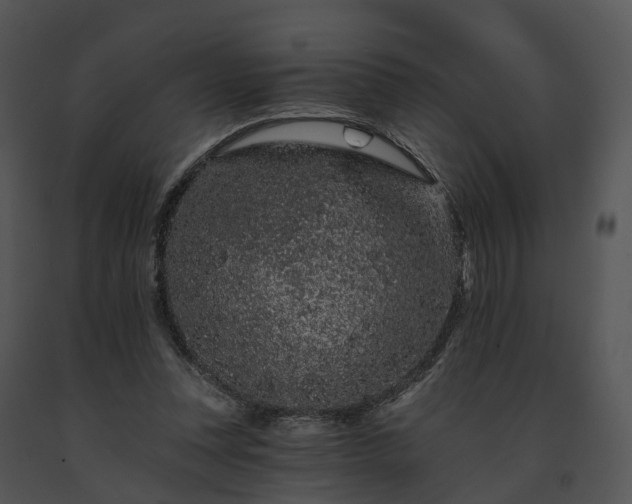 X0000091670351200708301504