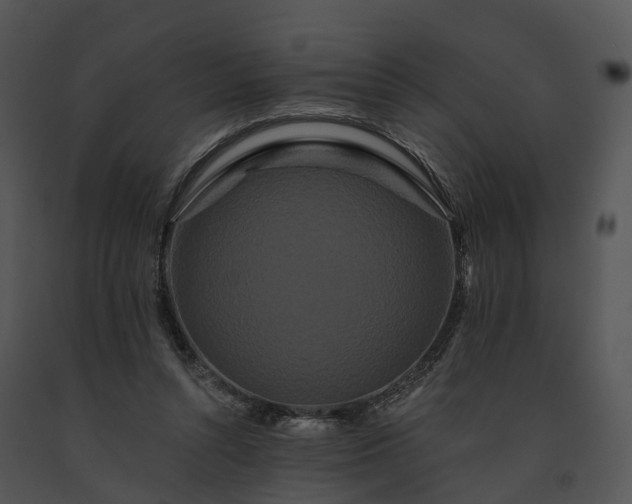 X0000091670352200708301504