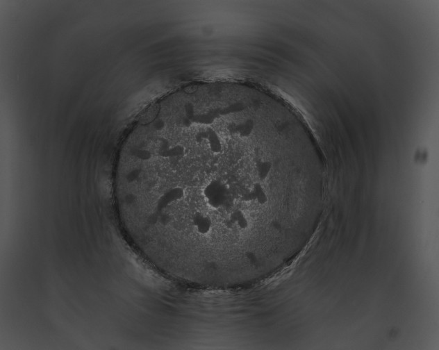 X0000091670353200708301504
