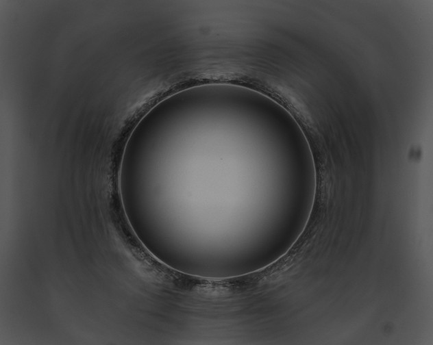 X0000091670354200708301504