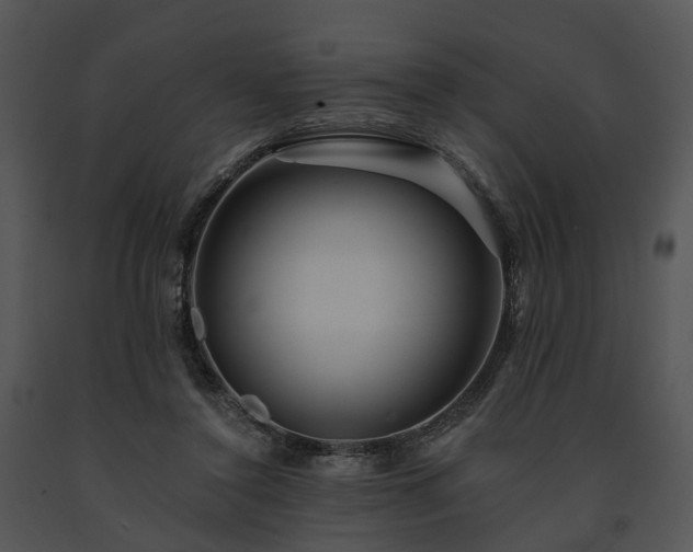 X0000091670356200708301504