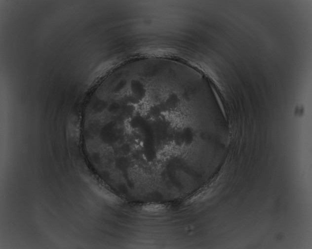 X0000091670357200708301504