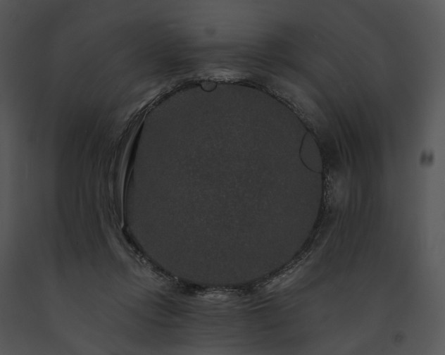X0000091670358200708301504