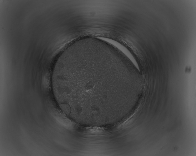 X0000091670359200708301504