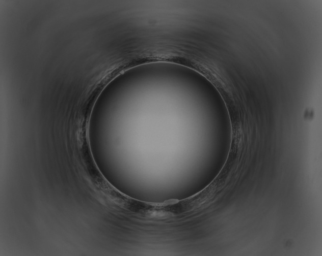 X0000091670360200708301504